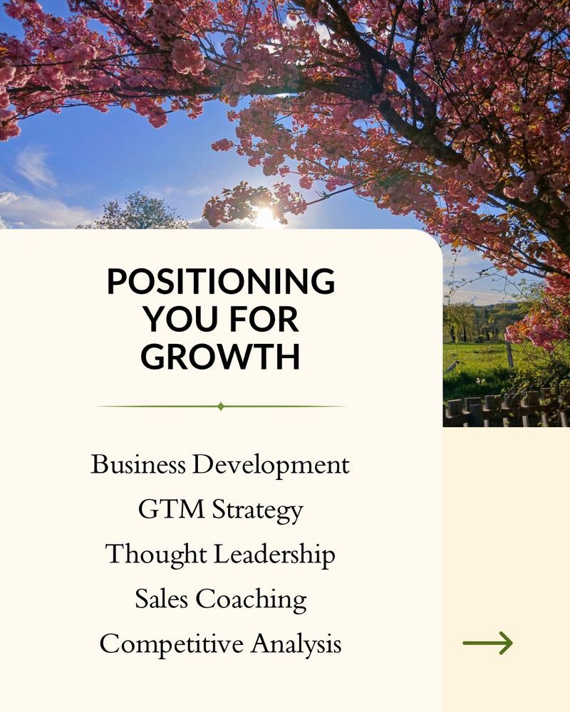 Business Development, GTM Strategy, Thought Leadership, Sales Coaching, Competitive Analysis