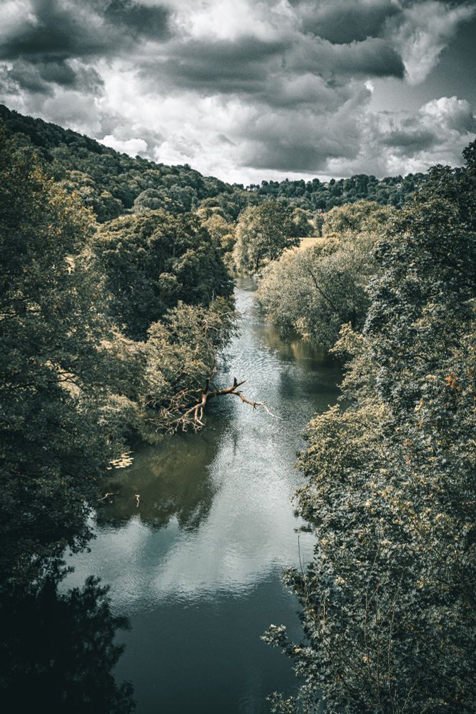 A river and a cloudy sky. Trees line the banks of the river. 