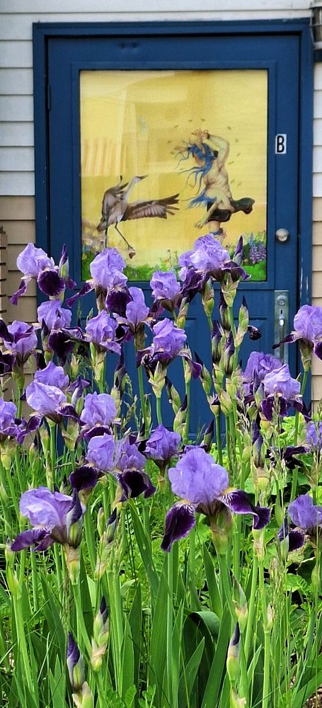 Bearded purple irises are in the foreground if a fine arts gallery in Bayfield, WI. An art print by Rabbett Strickland inspired by Ojibwe mythology is in the background.