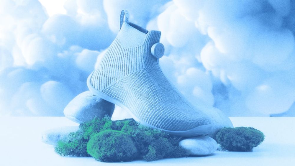 Greenwashing is rampant among many iconic brands. Here's how Allbirds avoids it - Fast Company