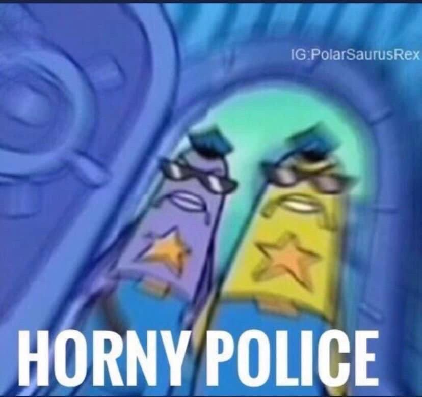 A picture of two animated police officer characters from SpongeBob SquarePants. The caption says “horny police”