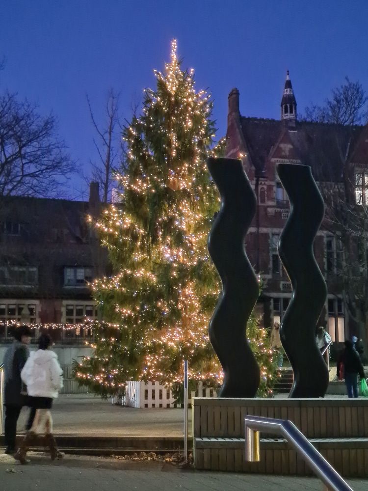 Large Christmas tree with lights, next to a large sculpture that looks like 2 large black wavy pieces of bacon.