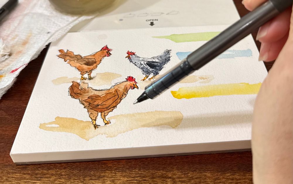 A photo of a water color painting mid-paint. It's three chickens in a "line and wash" style. 