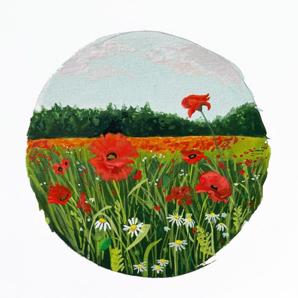 Gouache illustration of a field of poppies in a circle.