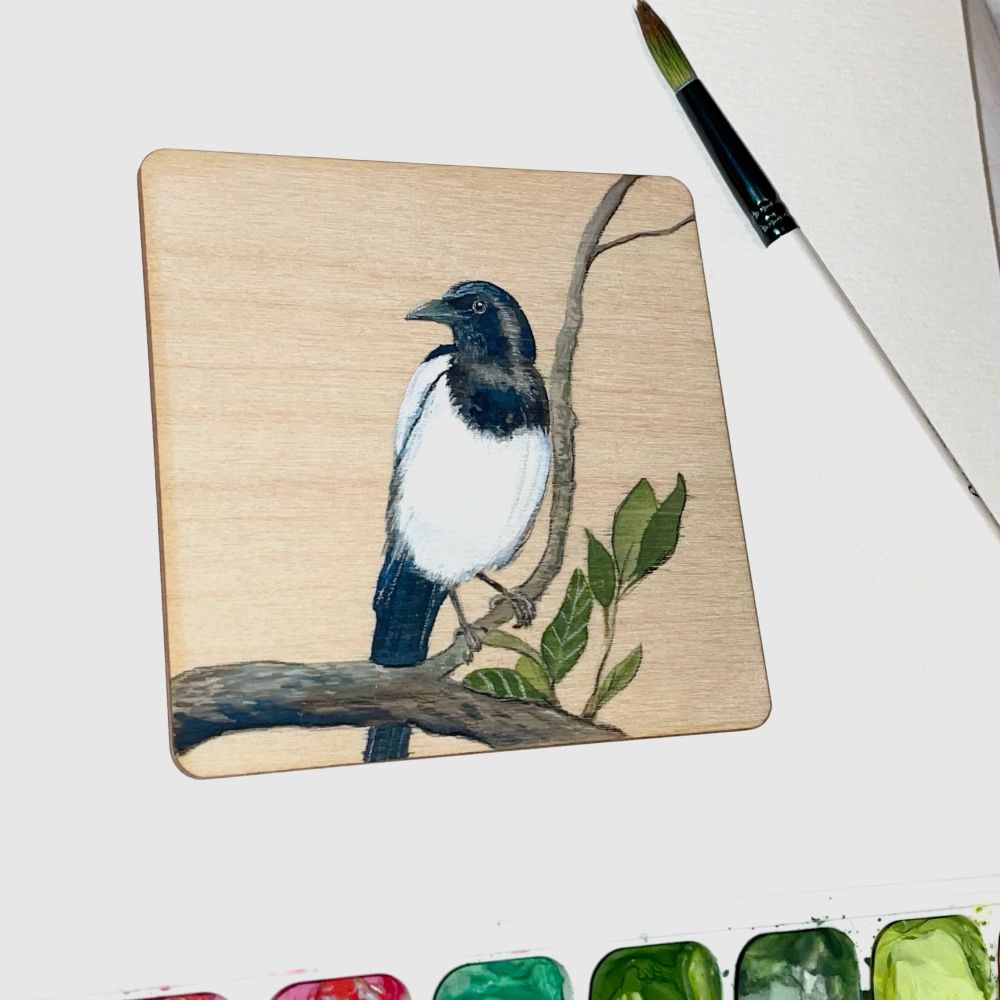 Magpie sitting in a tree.