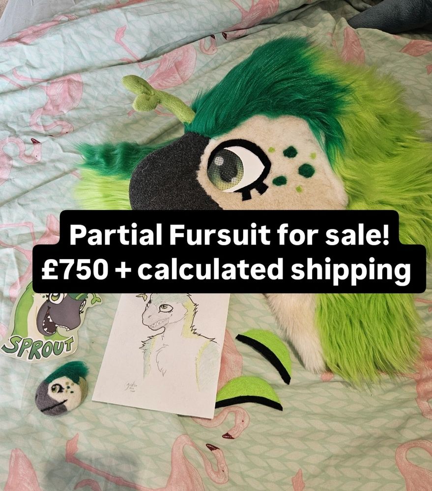 A photo of a dinosaur fursuit head and accessories, with a text over lay reading "partial fursuit for sale! £750 + calculated shipping"