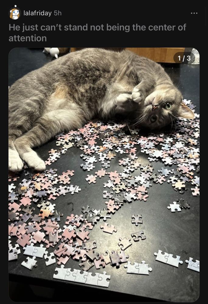 Cat looking upside down at the camera while laying on a pile of puzzle pieces