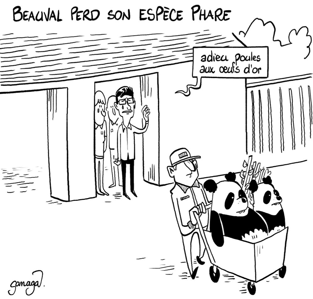 Titre : Beauvais perd son espèce phare.
Image : le couple de pandas quitte le zoo de Beauval pour repartir en Chine. Le directeur de Beauval les regarde, ému, partir : « adieu poules aux œufs d’or »