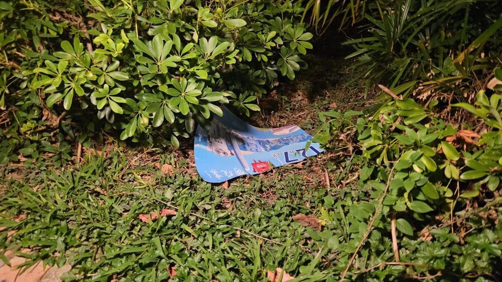An election poster in the grass