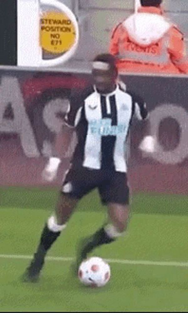 Nufc Newcastle GIF