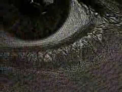 The Teardrops-Count De BokBok