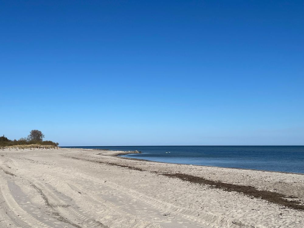 Photo taken on a sandy beach. Blue water calmly hits the beach from the right side. Blue sky without a cloud. 