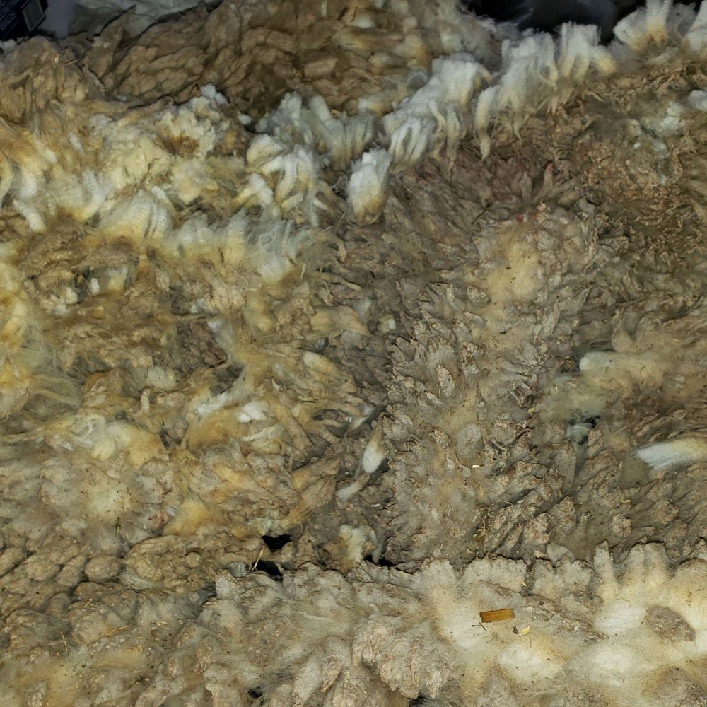 Close up photo of fleece on skirting table.