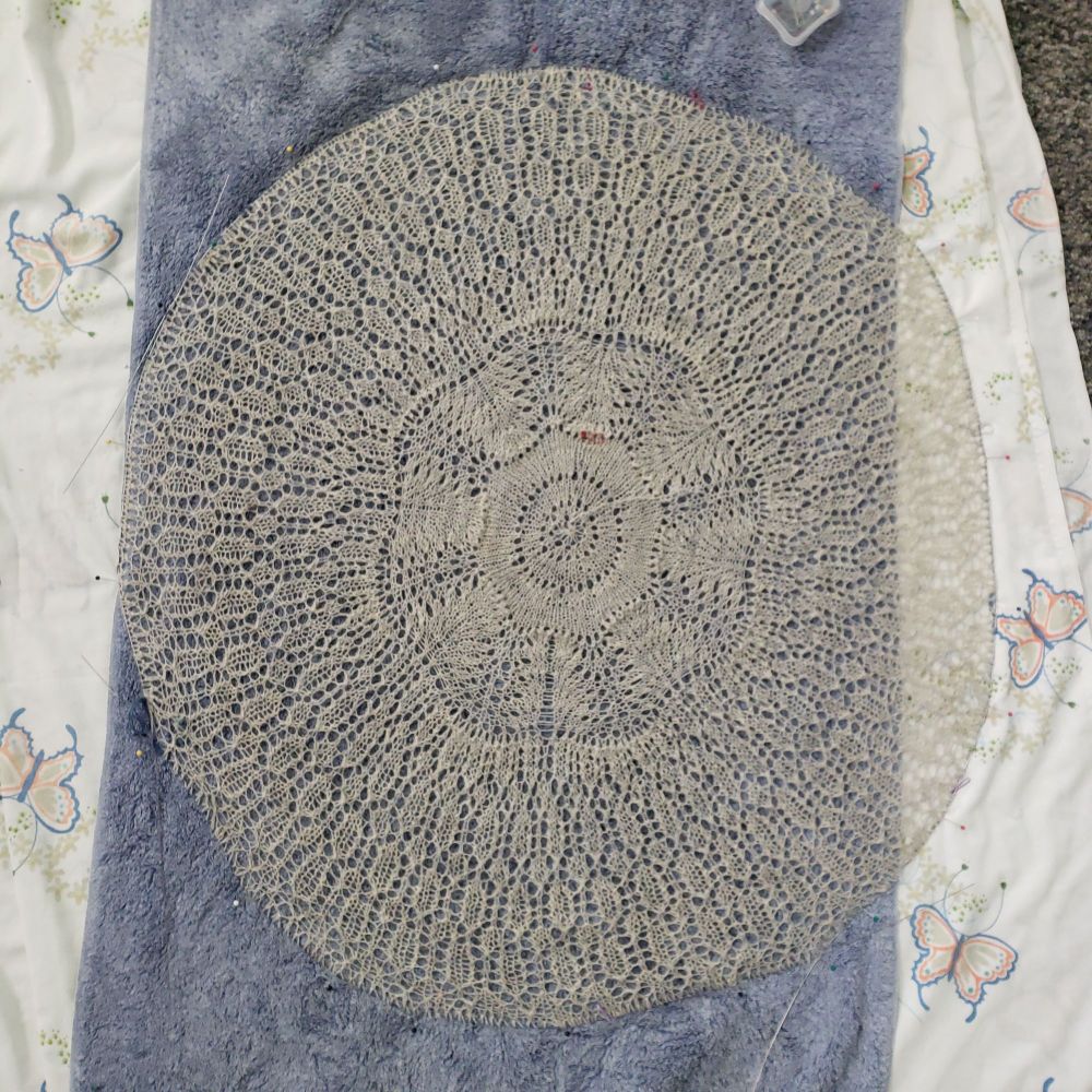 View from above, looking down at cream colored pi shawl on blocking wires, under shawl one sees blue towel and white sheet with butterflies. 