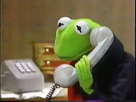 Kermit la grenouille contre les scameurs