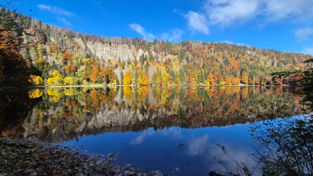 Bergsee mit Wald am Ufer, die Bäume sind herbstlich bunt.
