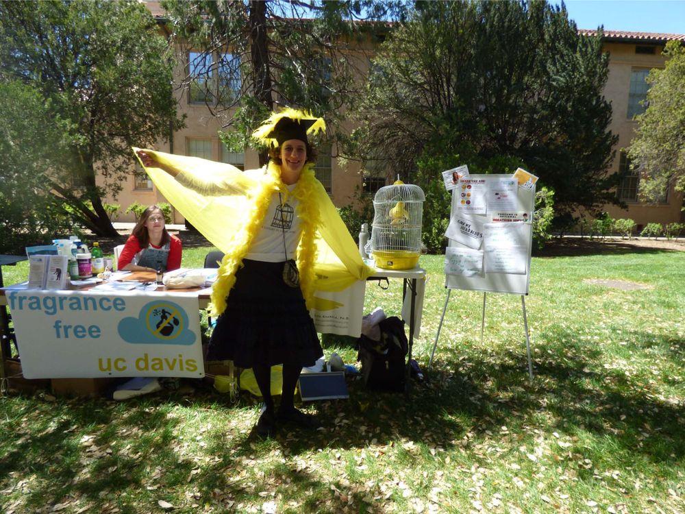 In the park of an american campus, a woman (Professor Liza Grandia) is  dressed as “Professor Canary” : she is wearing a yellow kaftan, a yellow boa, and a feathered academic hat. Behind her, a young woman is sitting at a table to which a banner  “Fragrance Free UC Davis” is attached. 
