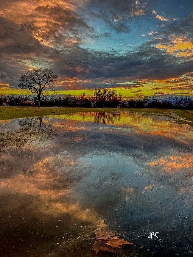A beautiful sunrise amongst clouds and a sky of green, blue, and pink reflects off a large pond.