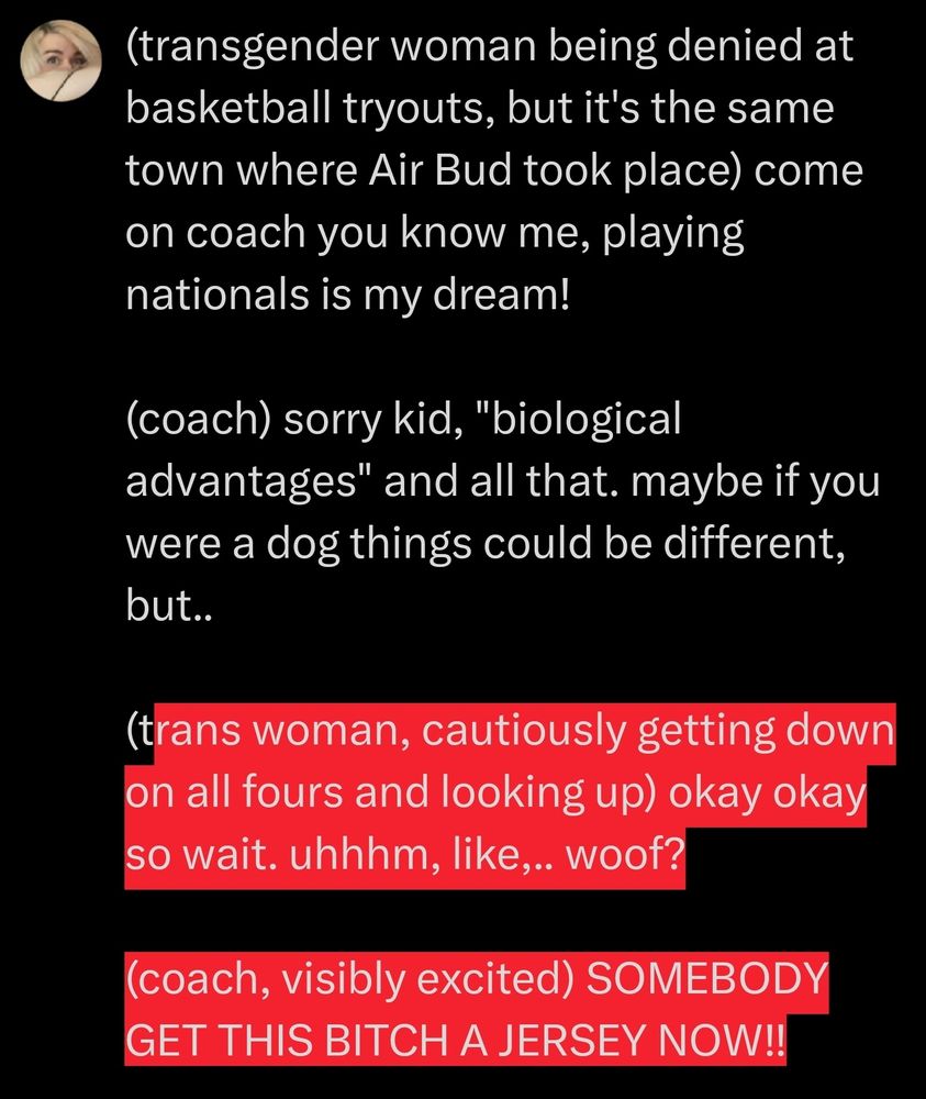 It's a red text post that says:

(transgender woman being denied at basketball tryouts, but it's the same town where Air Bud took place) come on coach you know me, playing nationals is my dream!

(coach) sorry kid, "biological advantages" and all that. maybe if you were a dog things could be different, but..

(trans woman, cautiously getting down on all fours and looking up) okay okay so wait. uhhhm, like,.. woof?

(coach, visibly excited) SOMEBODY GET THIS BITCH A JERSEY NOW!!