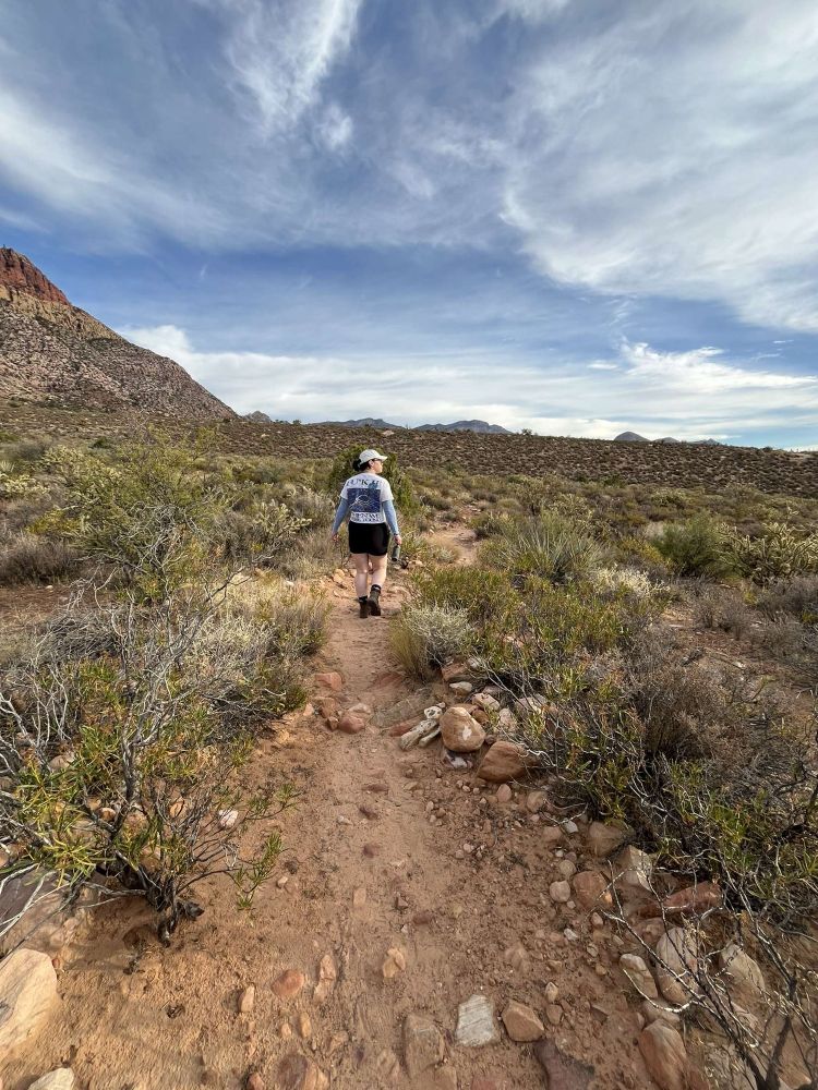 A photo of Moth walking in a desert landscape, their back is to the camera and they are looking to one side