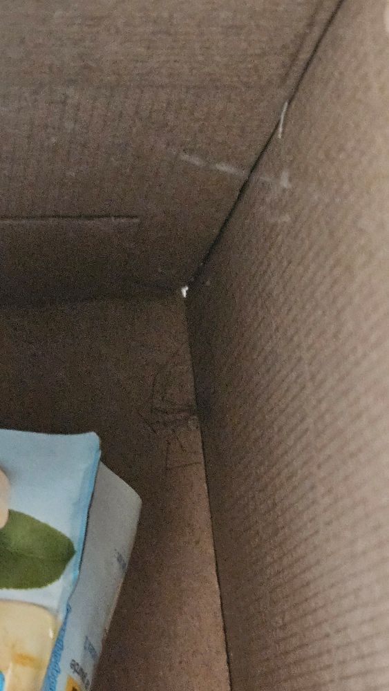 A picture inside of a box with a little spider. 