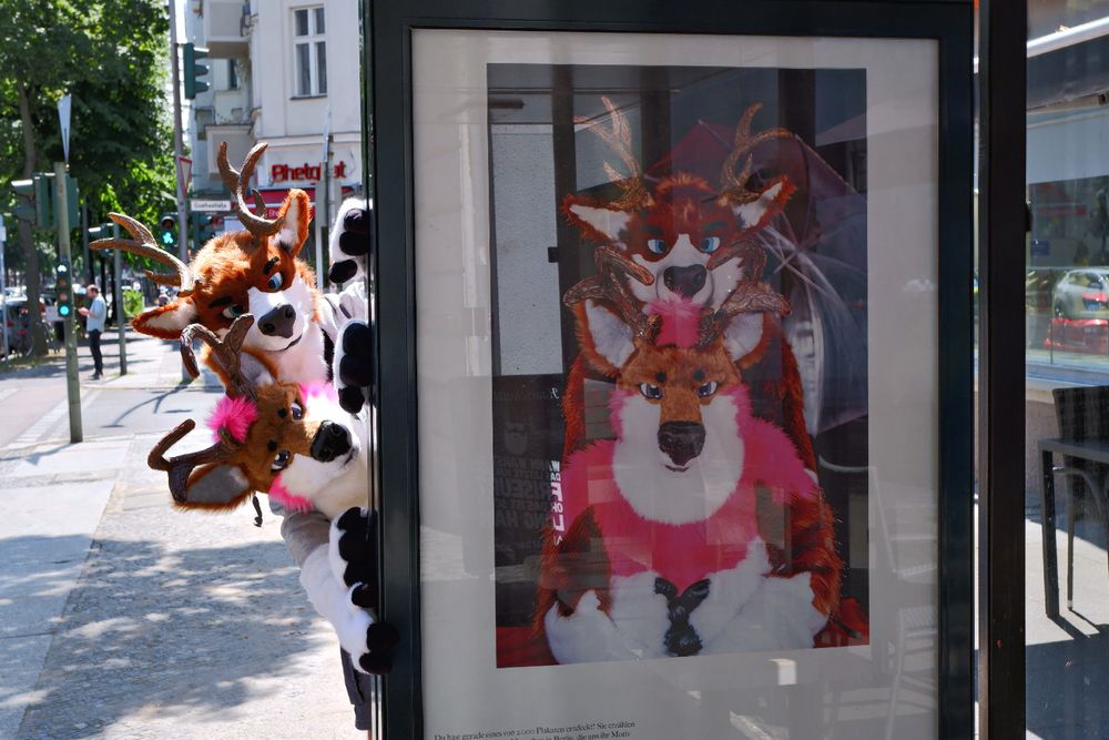 Two Deer-Fursuiters  looking from behind a Bus-Stop. The Bus Stop features an Image with both of them instead of a boring advertisement. 
