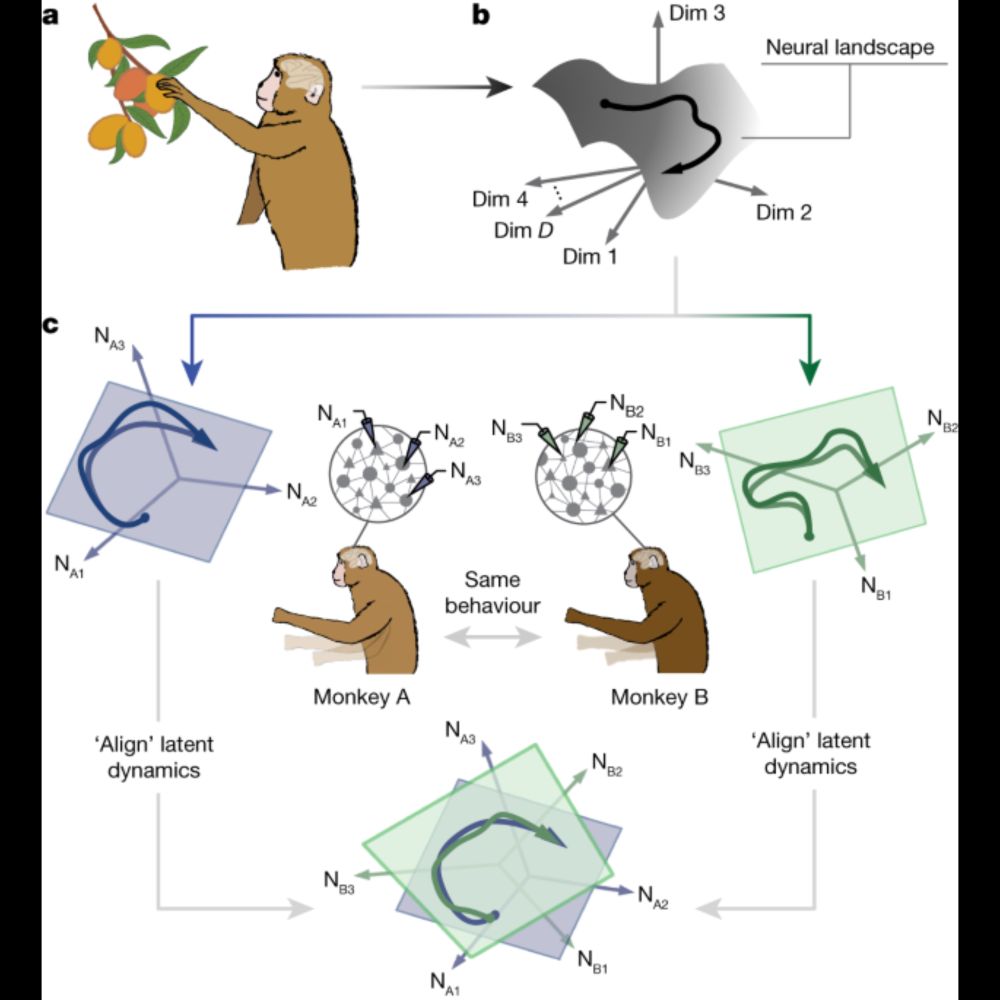 Preserved neural dynamics across animals performing similar behaviour - Nature