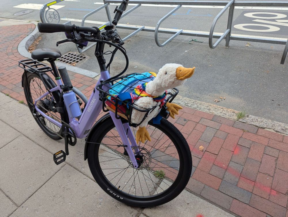 A plush goose in the front basket of a purple bike.