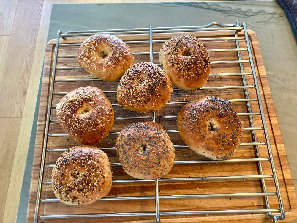 Homemade bagels 