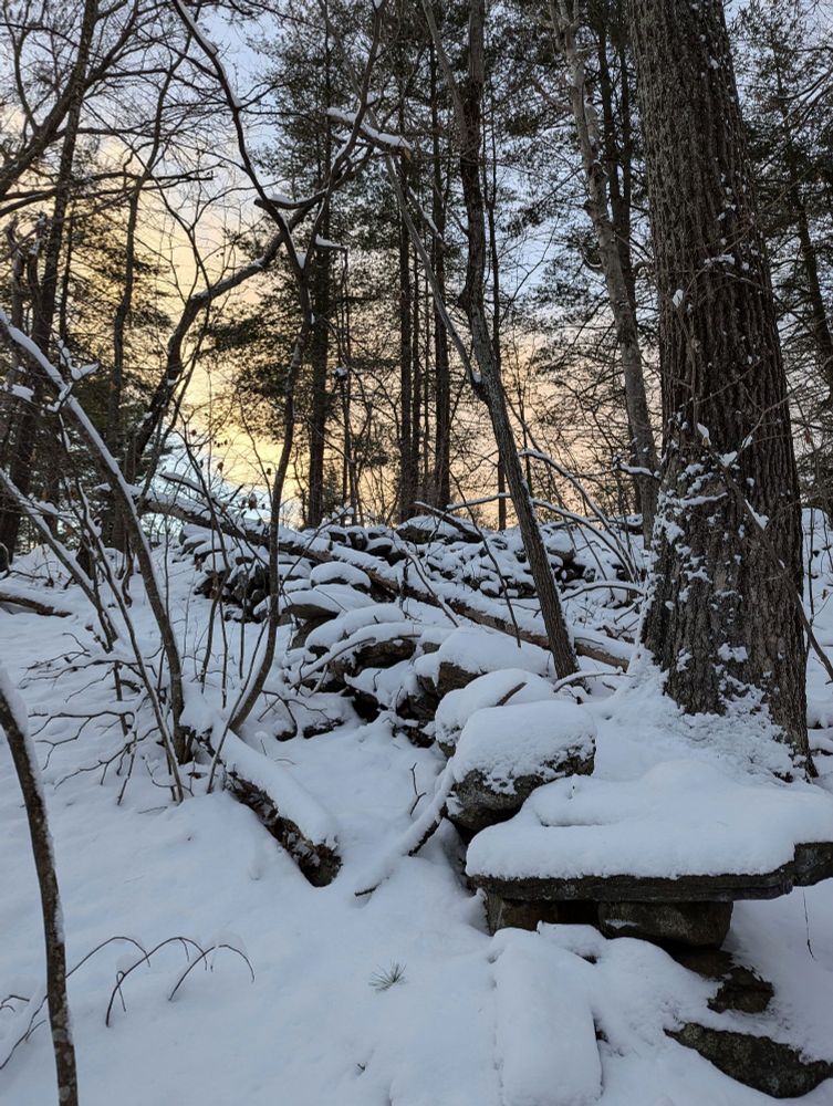 The photo is of a winter scene, bare branches in the snow. The end of a new england style stone wall is in the lower right foreground of the image, it stretched diagonally up and across the field of vision, vanishing into the distance. At that point it meets the pale yellow and blue of a clouded sunset.