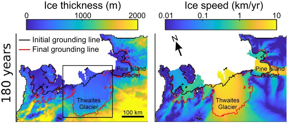Maps showing ice thickness and ice flow speed on Thwaites Glacier, Pine Island Glacier and surrounding areas after 180 years in one ice sheet model run, with the initial and final grounding line positions shown as black and red lines, respectively. Ice thickness and ice flow speeds are shown in colours ranging from blue (low) to yellow (high).
