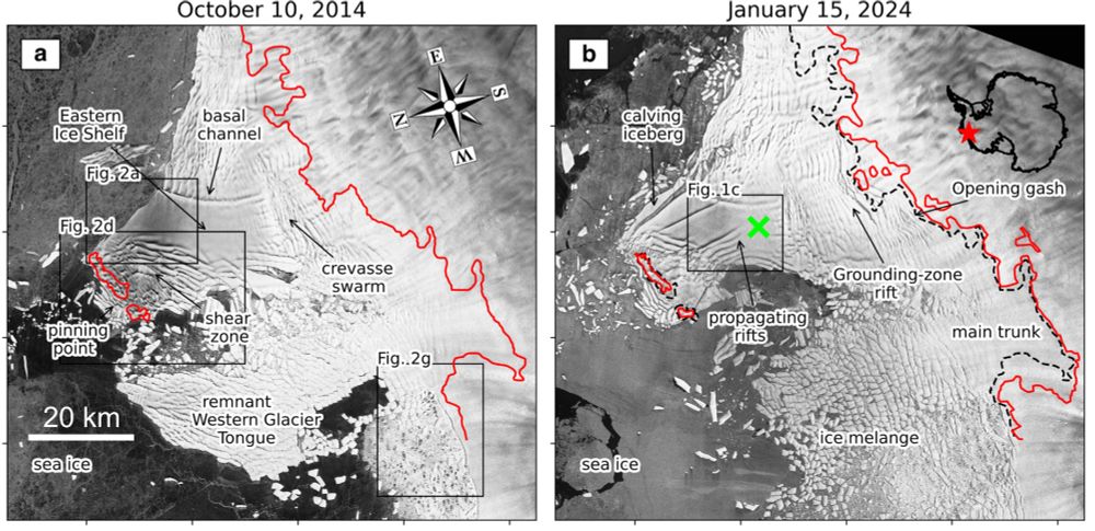 Synthetic aperture radar satellite (Sentinel-1) images showing the front of Thwaites Glacier in 2014 and 2024, with grounding line positions overlaid as red lines