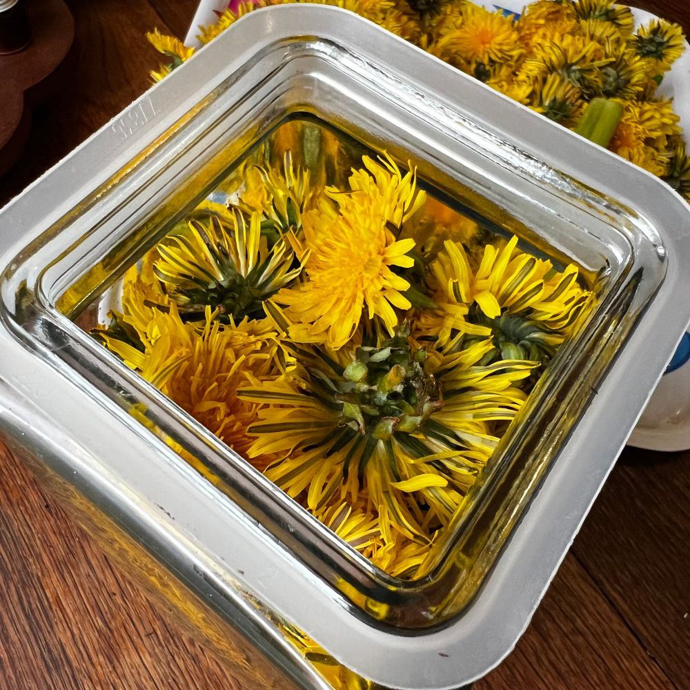 A tall jar filled with dandelion flower heads