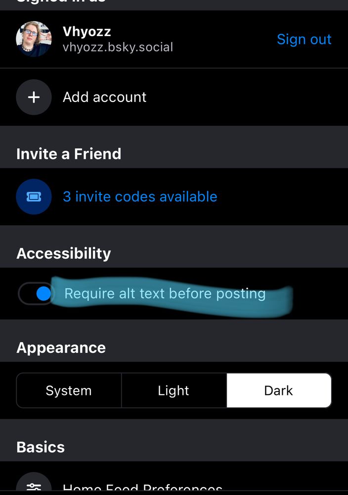 Zeigt Einstellungen ab dem Profil bis zu dem Punkt Basics - unter Accessibility ist „require alt Text before posting“ mit textmarker hervorgehoben