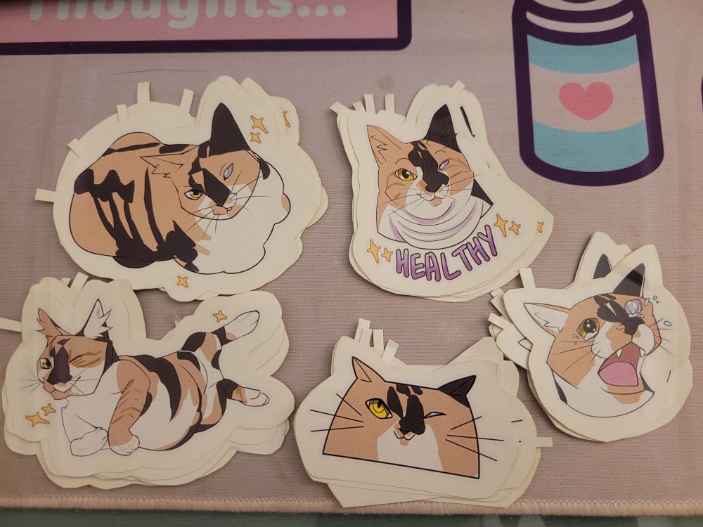 Five stickers of khazrak the cat drawn in a cute style in various poses