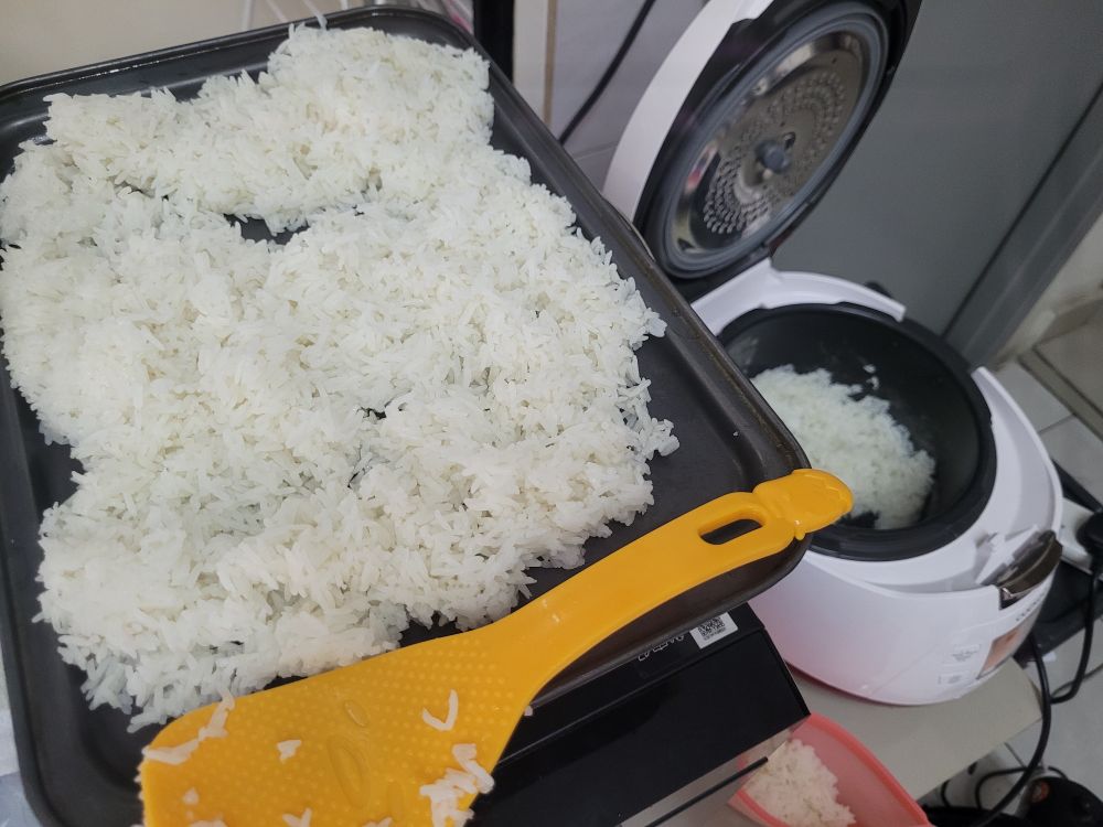 Cooked rice in rice cooker and cooling on baking sheet
