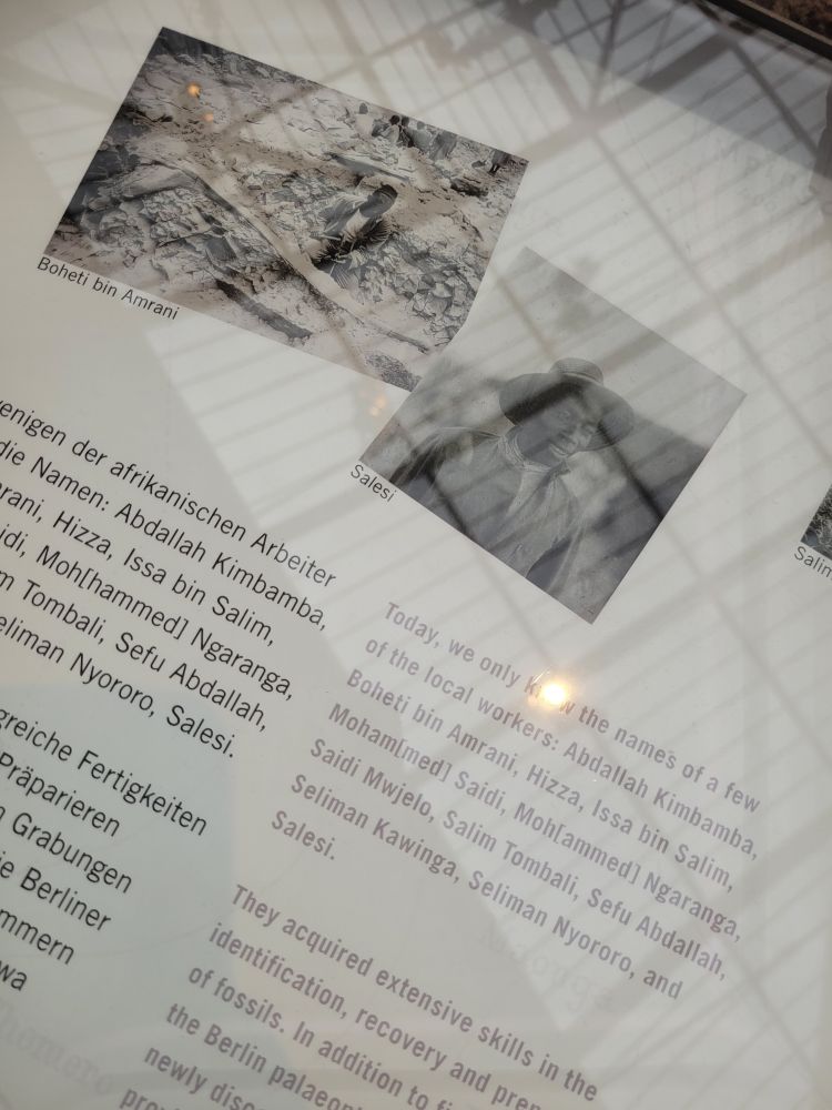 Today, we only know the names of a few of the local workers: Abdallah Kimbamba, Boheti bin Amrani, Hizza, Issa bin Salim, Moh[hammed] Ngaranga, Moham[med] Saidi, Saidi Mwjelo, Salim Tombali, Sefu Abdallah, Seliman Kawinga, Seliman Nyororo, and
Salesi.