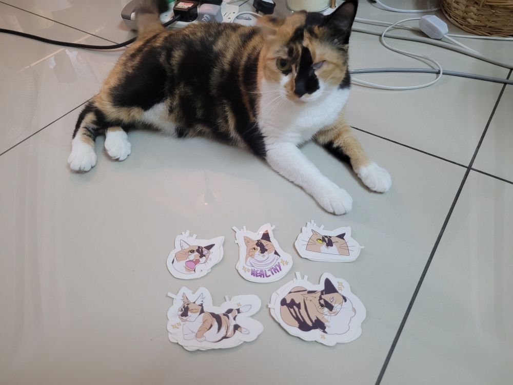Khazrak, a calico cat with one yellow right eye, lying down next to the five stickers of herself 