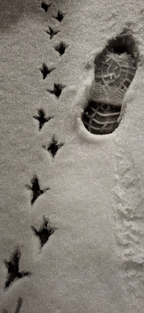 #snow #photography #photo #feet