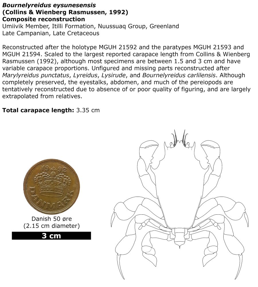 Reconstruction of the fossil frog crab Bournelyreidus eysunesensis 🦀
