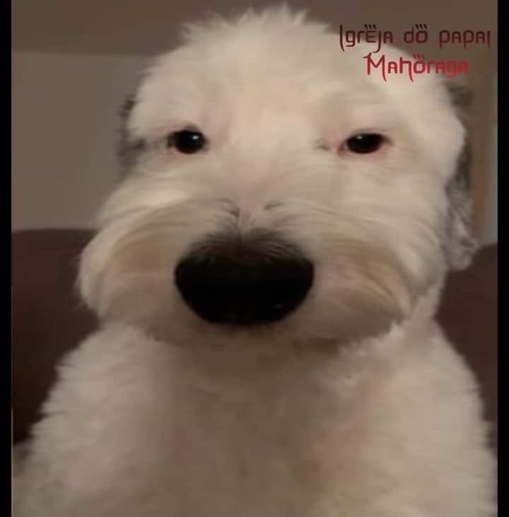 Comment image