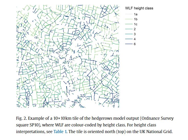 Fig. 2. Example of a 10 × 10 km tile of the hedgerows model output (Ordnance Survey square SP10), where WLF are colour-coded by height class. 