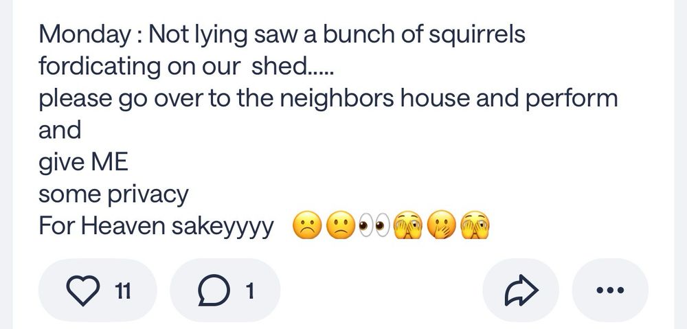 A Nextdoor post that reads:

Monday : Not lying saw a bunch of squirrels fordicating on our  shed.....
please go over to the neighbors house and perform and 
give ME 
some privacy 
For Heaven sakeyyyy   ☹️🙁👀🫣🫢🫣

11 likes, one comment