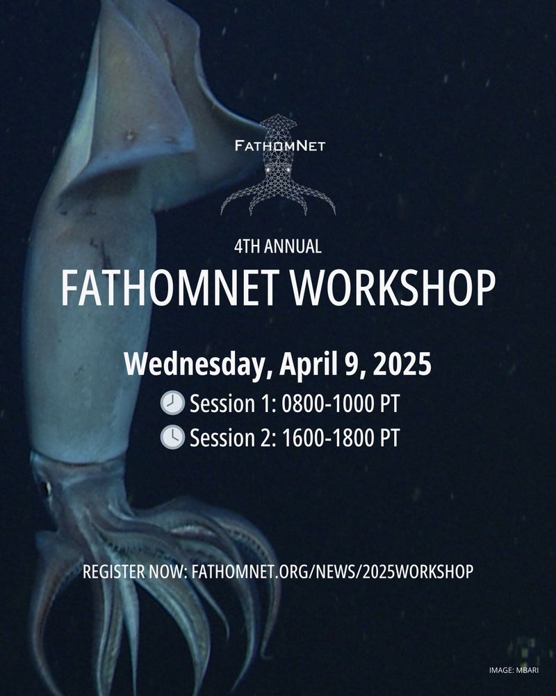 Promotional poster for FathomNet's 4th Annual Workshop on April 9, 2025, featuring an underwater image of a squid. Includes details of the event's schedule and registration link.
