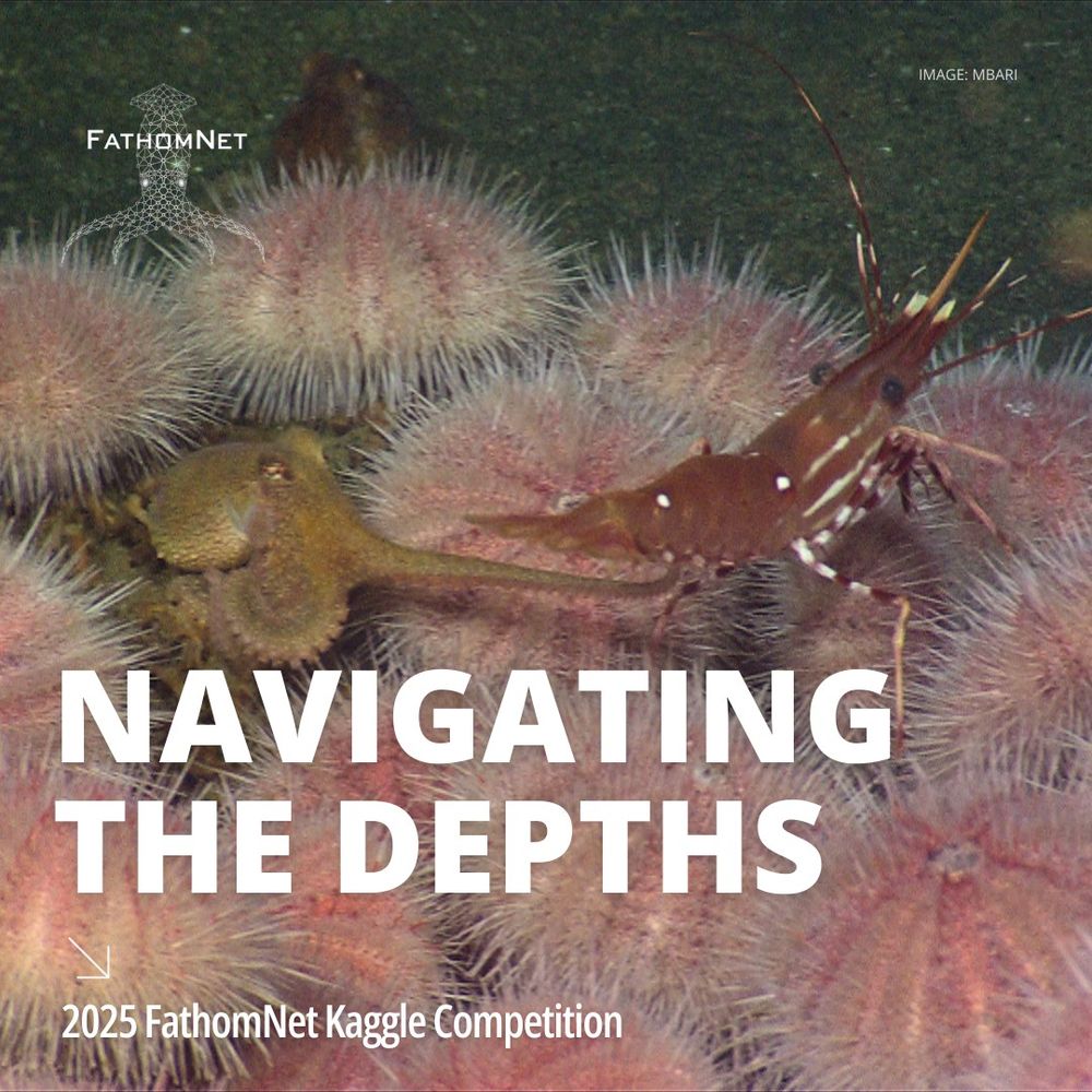 Promotional poster for the 2025 FathomNet Kaggle Competition titled 'Navigating the Depths', featuring a close-up image of underwater creatures including a small octopus, a shrimp, and pink urchins.