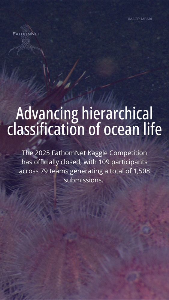 Promotional image for a FathomNet blog post titled "The Art of Annotation: How to design effective guides for computer vision annotation tasks." It features a computer screen displaying an underwater image with a marine creature, highlighted by a green rectangle. The background is blue with a text overlay.