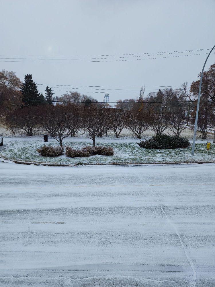 Picture taken from apartment balcony. Looking out/ down towards open green space. There is an inch or so of snow starting to build up on the ground and trees..