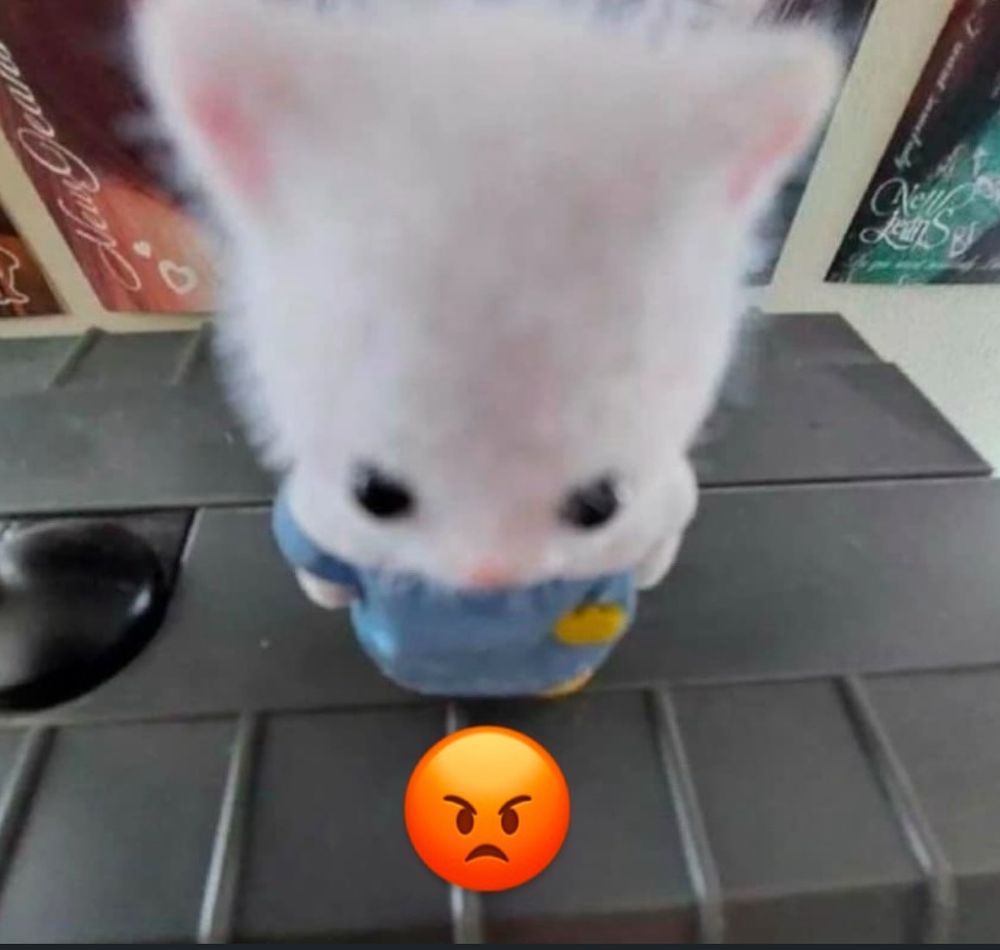 Sylvanian family toy staring at the camera with an angry emoji below