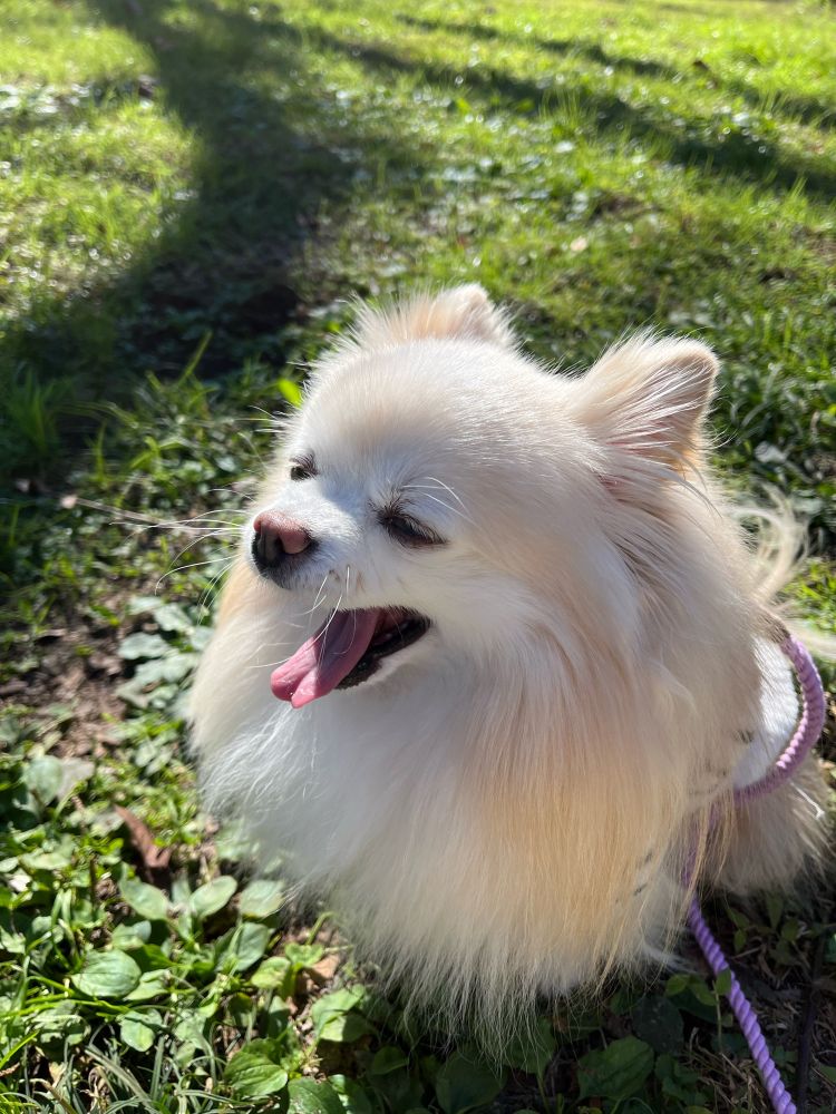 眠くなってきたの