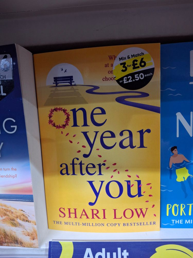 Yellow book cover for One Year After You